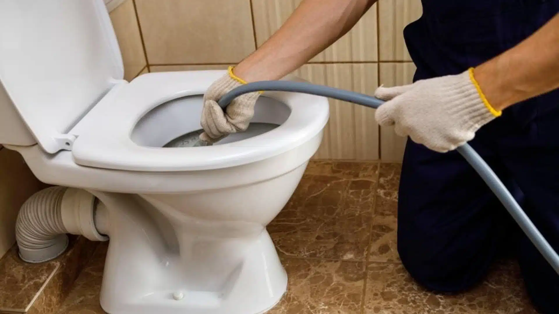 Are Clogged Sinks and Blocked Toilets Linked
