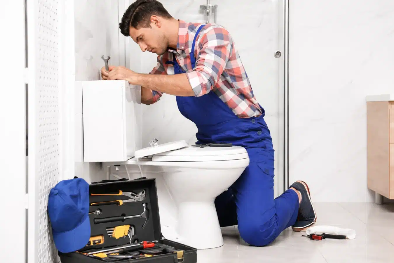 Common Causes of a Blocked Toilet