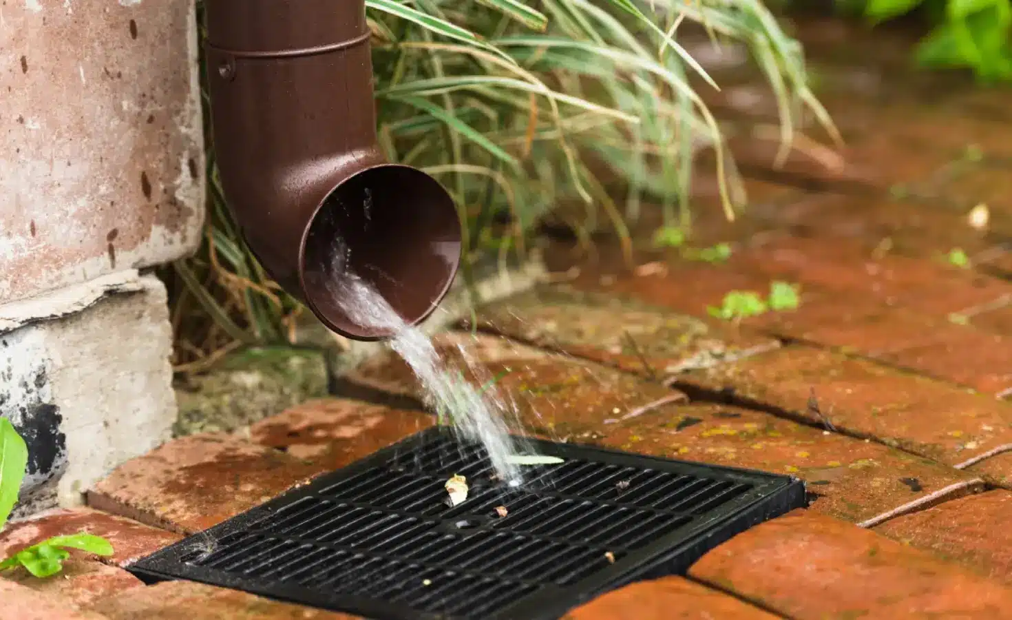 Common Warning Signs of Drainage Problems at Home
