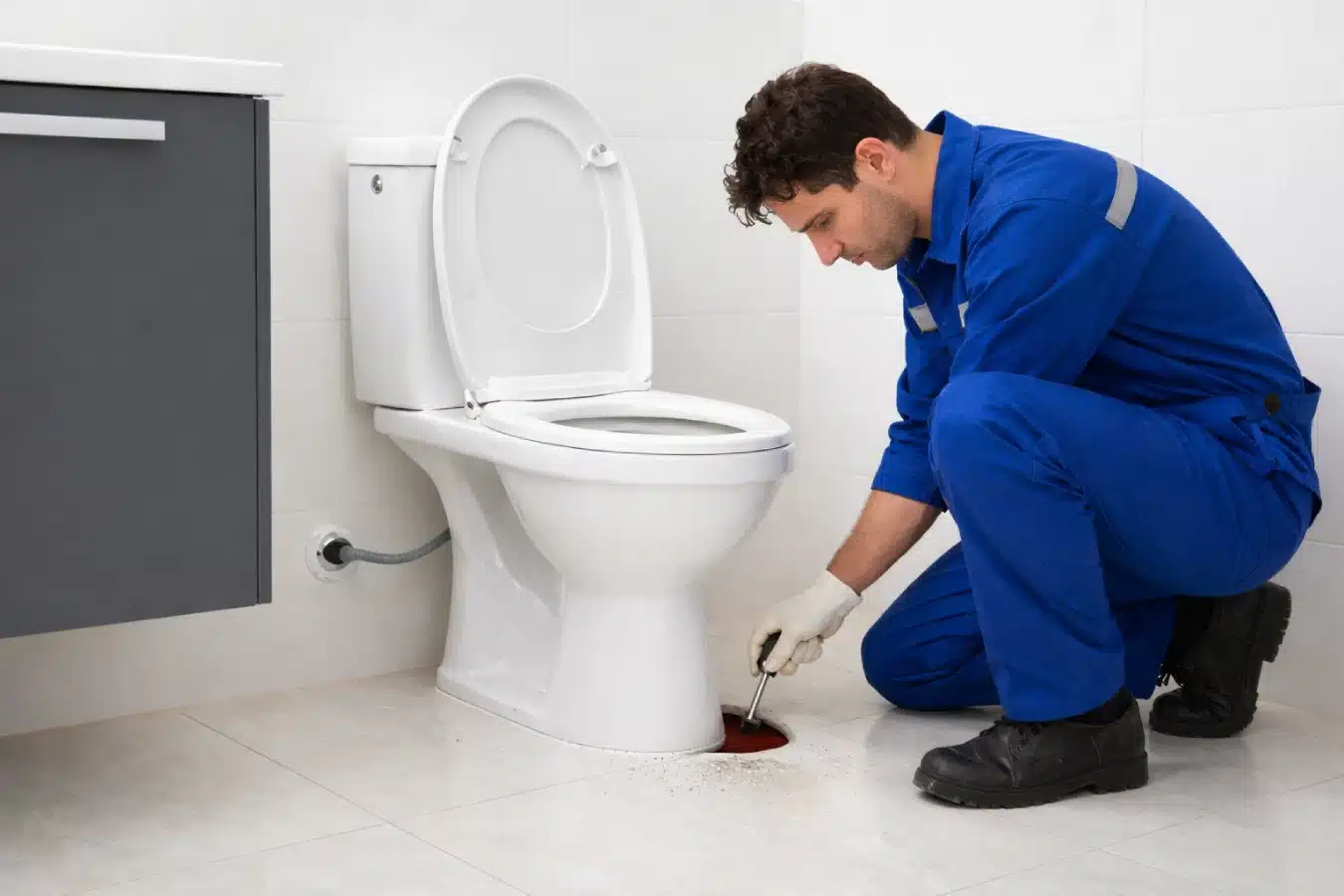 Emergency Blocked-Toilet Help