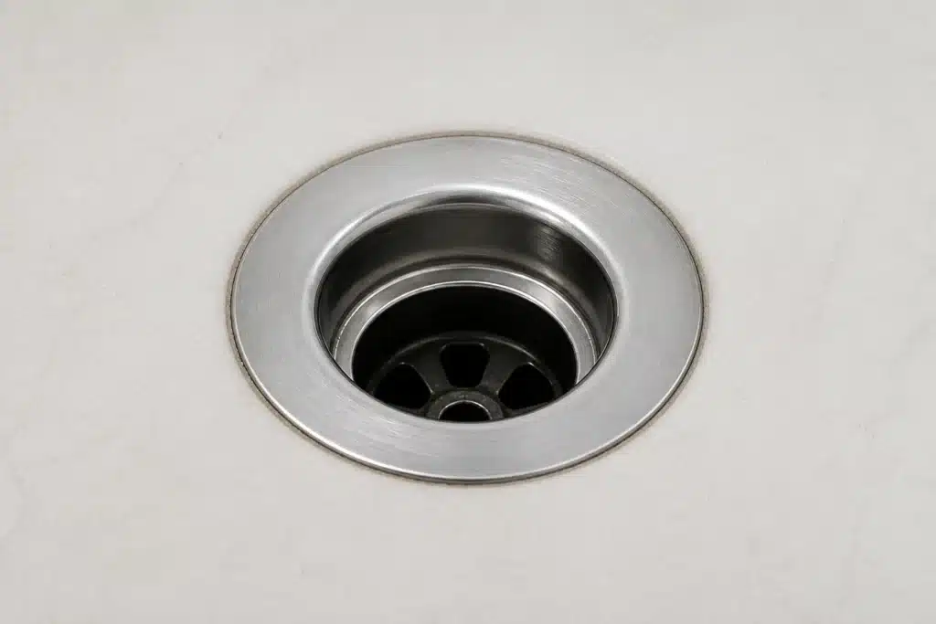 Clean Drain Flies