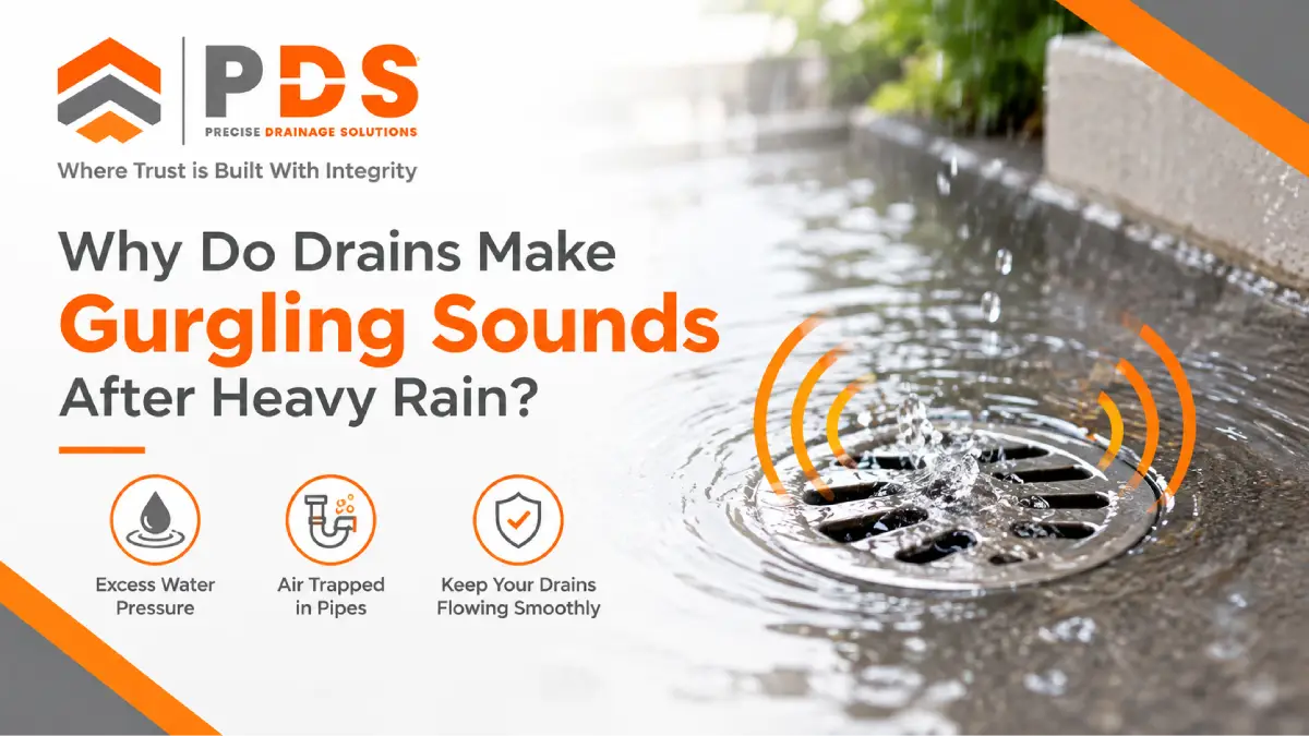Why Do Drains Make Gurgling Sounds After Heavy Rain?